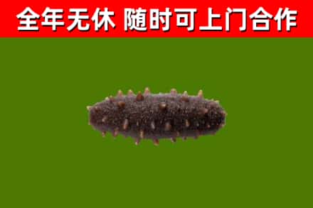 海沧烟酒回收干海参.jpg